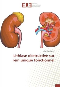 portada Lithiase obstructive sur rein unique fonctionnel (OMN.UNIV.EUROP.)