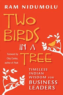 portada Two Birds in a Tree: Timeless Indian Wisdom for Business Leaders (en Inglés)