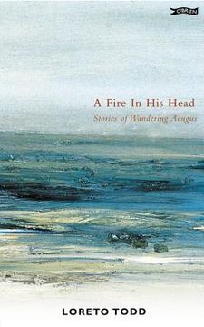 portada a fire in his head: stories of wandering aengus (en Inglés)