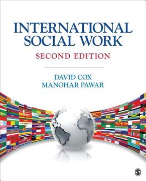 portada international social work: issues, strategies, and programs (in English)
