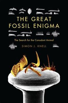portada the great fossil enigma (en Inglés)
