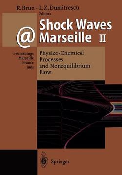 portada shock waves @ marseille ii: physico-chemical processes and nonequilibrium flow proceedings of the 19th international symposium on shock waves held (in English)