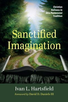 portada Sanctified Imagination