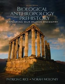 portada Biological Anthropology and Prehistory: Exploring Our Human Ancestry