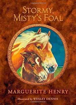 portada Stormy, Misty's Foal