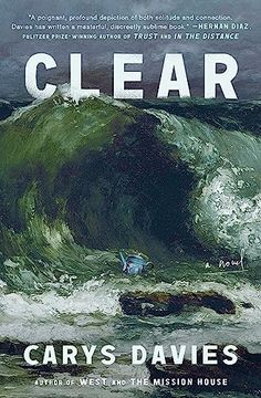 portada Clear: A Novel (in English)