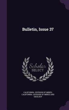 portada Bulletin, Issue 37