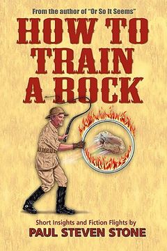 portada how to train a rock (en Inglés)