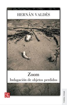 portada Zoom. Indagación de Objetos Perdidos (in Spanish)