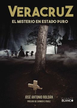 portada Veracruz el Misterio en Estado Puro (in Spanish)