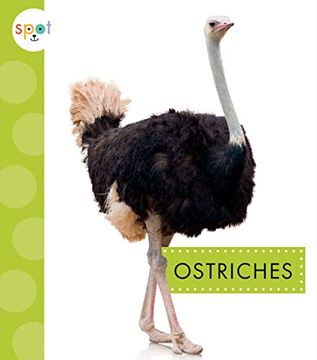 portada Ostriches (Spot big Birds) (en Inglés)