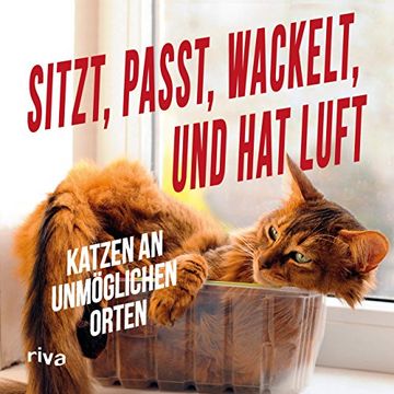 portada Sitzt, Passt, Wackelt und hat Luft: Katzen an Unmöglichen Orten (en Alemán)