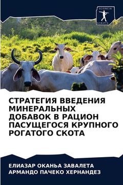 portada СТРАТЕГИЯ ВВЕДЕНИЯ МИНЕ& (in Russian)