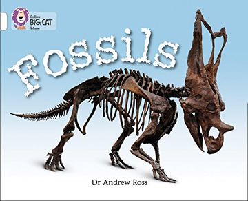 portada Fossils: Band 10/White (en Inglés)