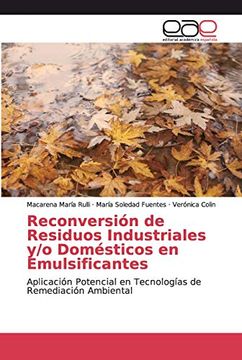 portada Reconversión de Residuos Industriales y (in Spanish)