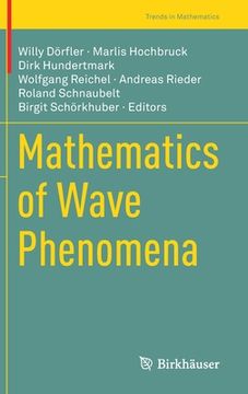 portada Mathematics of Wave Phenomena (en Inglés)