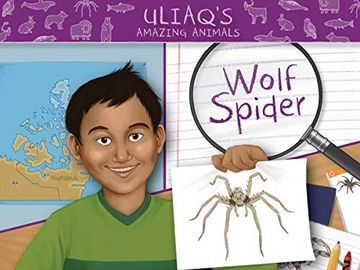 portada Uliaq's Amazing Animals: Wolf Spider (English) (Nunavummi) (en Inglés)