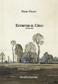 portada Entrever el Cielo (in Spanish)