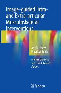 portada Image-Guided Intra- And Extra-Articular Musculoskeletal Interventions: An Illustrated Practical Guide (in English)