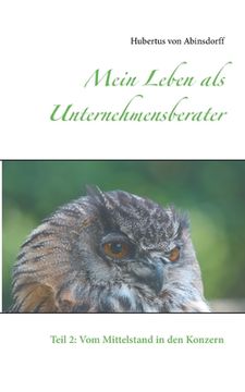 portada Mein Leben als Unternehmensberater: Teil 2: Vom Mittelstand in den Konzern (en Alemán)