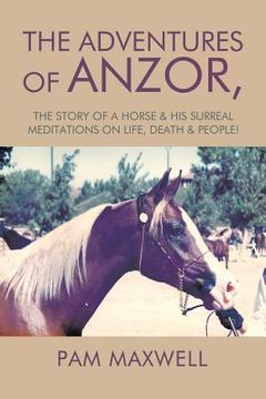 portada The Adventures of Anzor: the story of a horse & his surreal meditations on life, death & people! (in English)