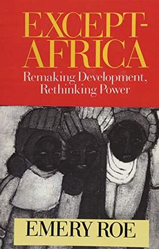 portada Except-Africa: Remaking Development, Rethinking Power (en Inglés)
