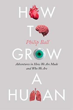 portada How to Grow a Human: Adventures in how we are Made and who we are 