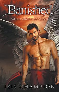 portada Banished (Fallen Angels Book 1)