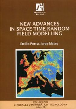 portada New advances in space-time random field modelling (Treballs d'Informàtica i Tecnologia)