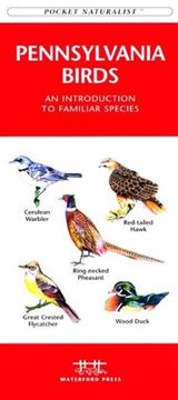 New York City Birds: A Folding Pocket Guide to Familiar Species in the Metropolitan Area (en Inglés)