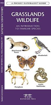 Grasslands Wildlife: An Introduction to Familiar Species Found in Prairie Grasslands