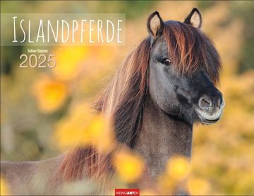 portada Islandpferde Kalender 2025
