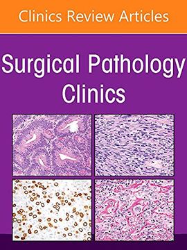portada Gynecologic and Obstetric Pathology, an Issue of Surgical Pathology Clinics (Volume 15-2) (The Clinics: Internal Medicine, Volume 15-2) (en Inglés)