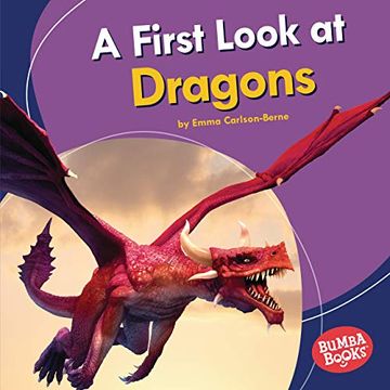 portada A First Look at Dragons (Bumba Books - Fantastic Creatures) (en Inglés)