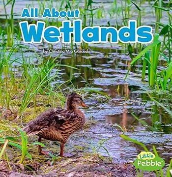 portada All About Wetlands (Habitats)