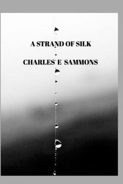 portada A Strand Of Silk (en Inglés)