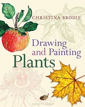 portada Drawing and Painting Plants (en Inglés)