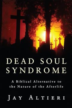 portada Dead Soul Syndrome (en Inglés)