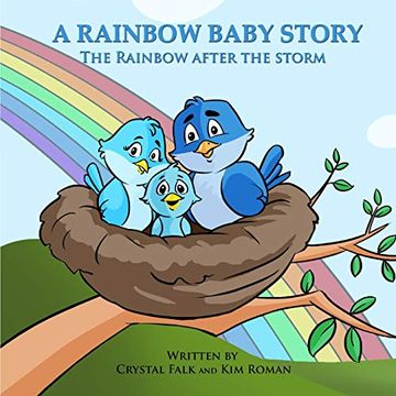 portada A Rainbow Baby Story: The Rainbow After the Storm: Volume 2 (Explain it to Me! ) (in English)