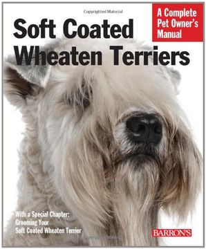 soft coated wheaten terriers