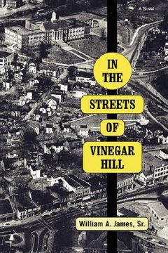 portada in the streets of vinegar hill (en Inglés)
