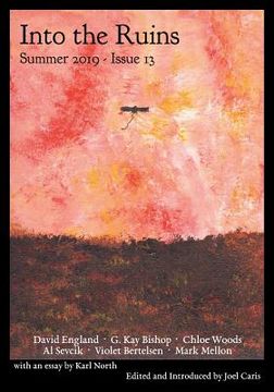 portada Into the Ruins: Summer 2019 (Issue 13) (en Inglés)