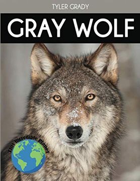 portada Gray Wolf: Fascinating Animal Facts for Kids (This Incredible Planet) (en Inglés)