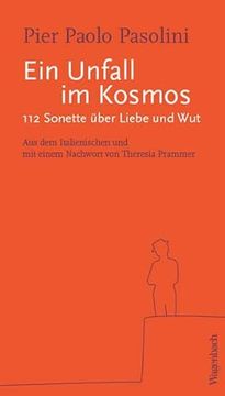 portada Ein Unfall im Kosmos - 112 Sonette (Quartbuch) (in German)