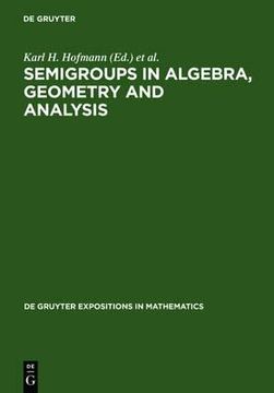 portada semigroups in algebra, geometry and analysis