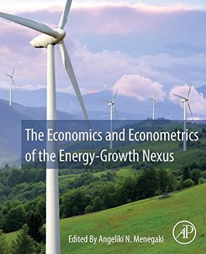 portada The Economics and Econometrics of the Energy-Growth Nexus (en Inglés)
