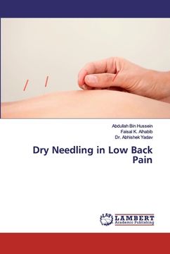 portada Dry Needling in Low Back Pain (in English)