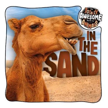 portada In the Sand (Paperback)
