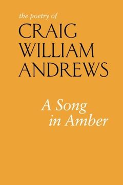 portada A Song in Amber