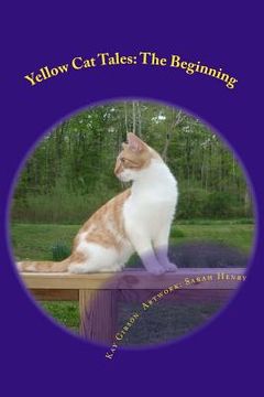 portada Yellow Cat Tales: The Beginning (in English)